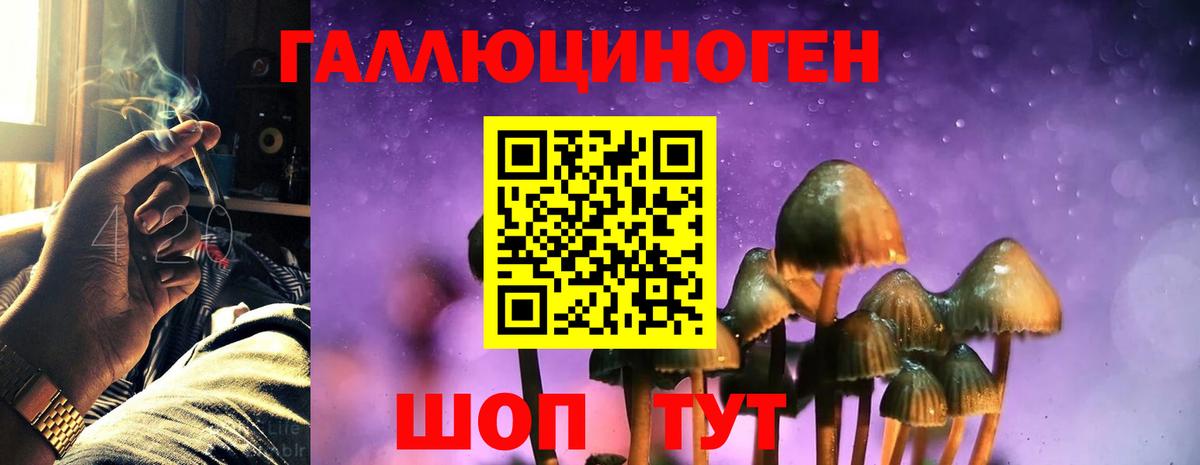 Галлюциногенные грибы Magic Shrooms  Вход с VPN  Соликамск 